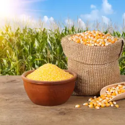 Maize