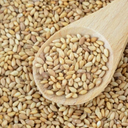Sesame Seed